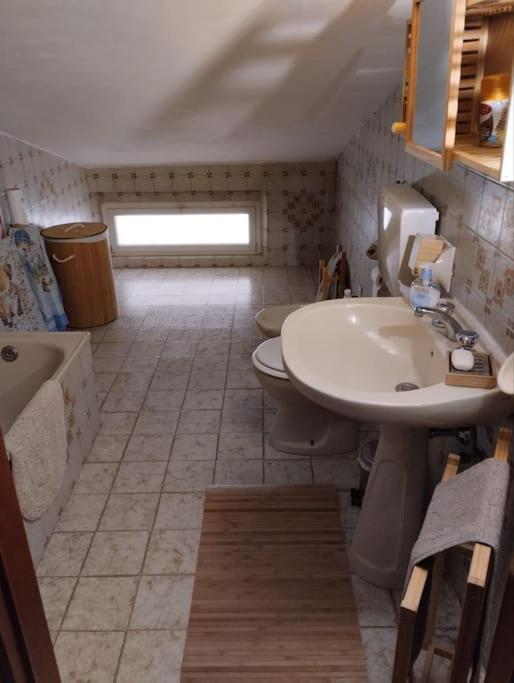 Apartament Il Gelsomino Rimini Zewnętrze zdjęcie