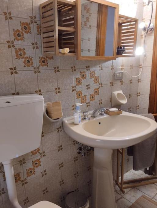 Apartament Il Gelsomino Rimini Zewnętrze zdjęcie